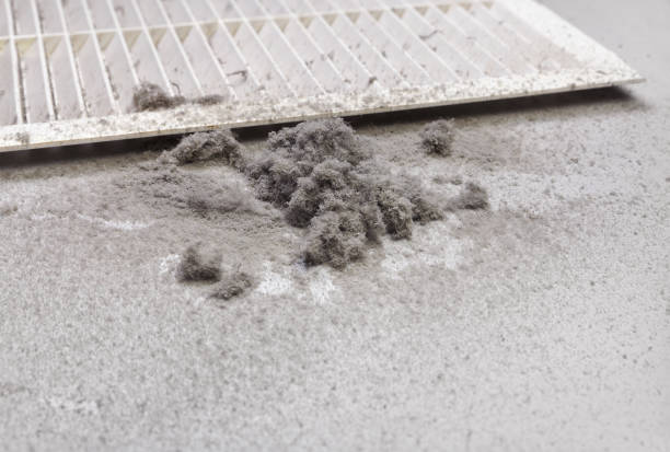 Best Professional Duct Cleaning Services  in Farmers Branch, TX